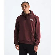 Load image into Gallery viewer, The North Face Men's Evolution Box Camo Hoodie in Sumac