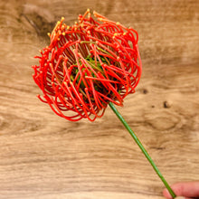 Load image into Gallery viewer, Southern Fried Cotton Barnyard Beauties SS Tee